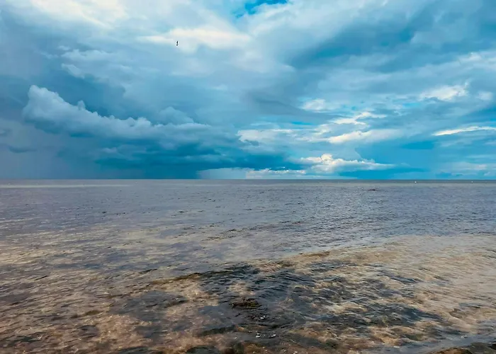 Ecological Timber House Near The Baltic Sea Coast 別荘 *